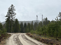 ØyvindBergkvam_20250914_68c66a29764ed.jpg