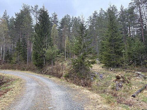 Stien går av til høyre her