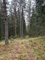 ØyvindBergkvam_20250914_68c66a49de38c.jpg