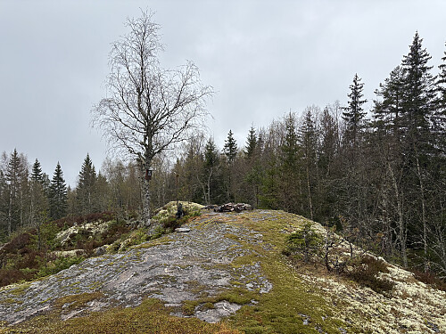 Rishuet i Ringerike