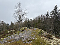 ØyvindBergkvam_20250914_68c66a5860f65.jpg