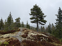 ØyvindBergkvam_20250914_68c66a5f395e8.jpg