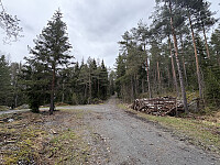 ØyvindBergkvam_20250914_68c6711814789.jpg