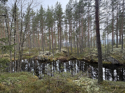 Idyllisk lite tjern i starten av turen