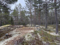 ØyvindBergkvam_20250914_68c67158de41e.jpg