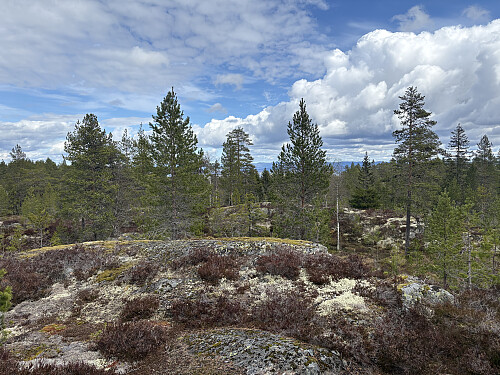 Hovseterhøgda NV