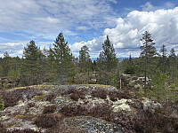 ØyvindBergkvam_20250914_68c68d0e7be57.jpg