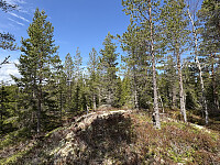 ØyvindBergkvam_20250914_68c68d31a1263.jpg