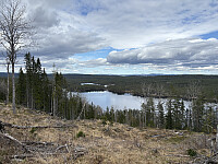 ØyvindBergkvam_20250914_68c68d3f92b16.jpg