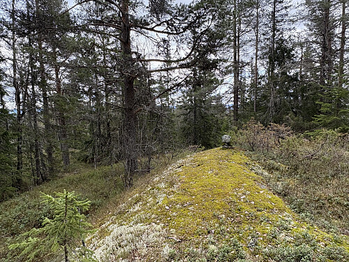 Slåtteberget i Ringerike