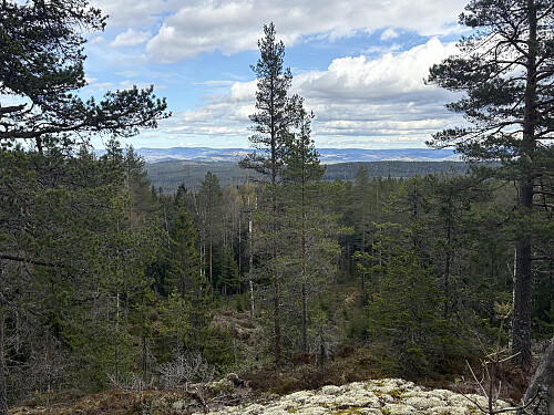 Noe utsikt fra kollen NØ på Slåtteberget 