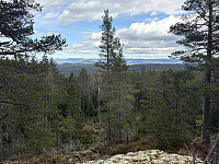 ØyvindBergkvam_20250914_68c68d5426d89.jpg