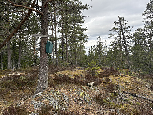 NØ på Slåtteberget 