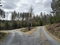 Veikrysset i 300 meters høyde. Til høyre mot Rudskollen og til venstre mot Klomshue