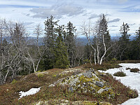 Spelhaugkollen 704 moh
