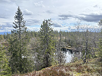 Utsikt østover fra Spelhaugkollen
