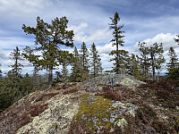 Rudskollen 710 moh i Ringerike