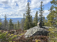Rudskollen
