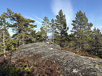 Klomshue 608 moh i Ringerike