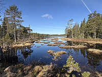 ØyvindBergkvam_20250914_68c6e258747e7.jpg