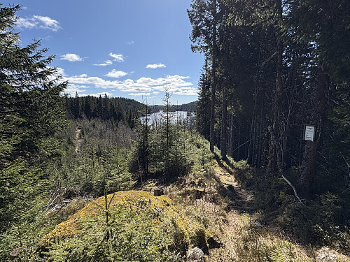 På vei opp mot Gråberget