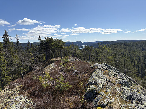 Gråberget 596 moh i Ringerike
