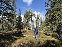 ØyvindBergkvam_20250914_68c6f7259d952.jpg
