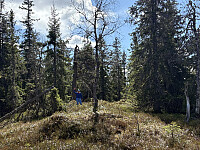 ØyvindBergkvam_20250914_68c6f733929c8.jpg