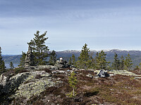Dugurdsnatten 770 moh