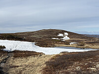 Snart oppe på Rauddalsfjellet