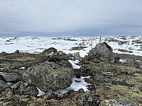 Kongshellernuten 1598 moh