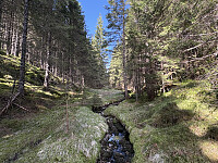 ØyvindBergkvam_20250918_68cbdbdcae6e4.jpg