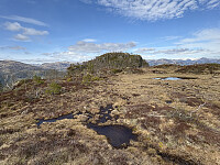ØyvindBergkvam_20250918_68cbdbe4f2124.jpg