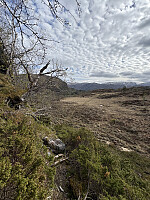 ØyvindBergkvam_20250918_68cbdbecced25.jpg
