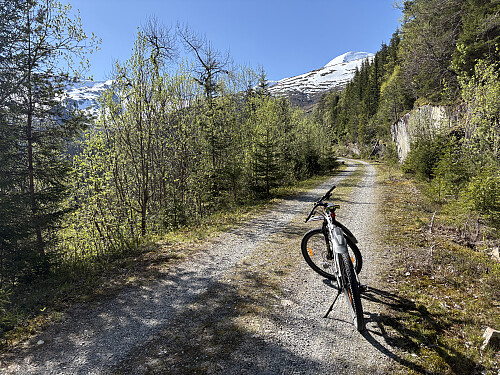 På vei oppover mot Honndalen