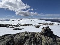 ØyvindBergkvam_20250918_68cc032924aae.jpg