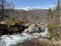 ØyvindBergkvam_20250918_68cc03587aa47.jpg