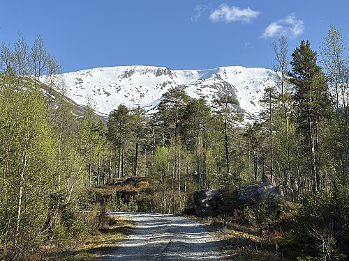 Tilbakeblikk mot dagens topper!