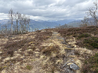 ØyvindBergkvam_20250919_68cd27f5dd1d1.jpg