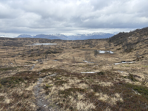 Tilbakeblikk over myrene på Flatafjellet