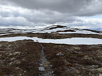 ØyvindBergkvam_20250919_68cd2811b09d8.jpg