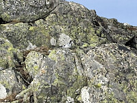 ØyvindBergkvam_20250919_68cd5a0189cd3.jpg