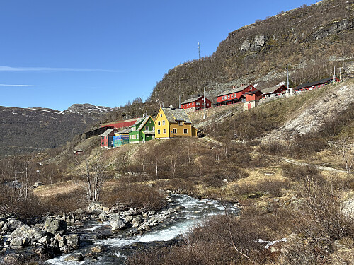 Fargerikt nedenfor Myrdal stasjon