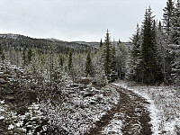 ØyvindBergkvam_20250919_68cd65ac41fa7.jpg