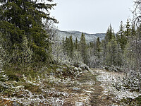 ØyvindBergkvam_20250919_68cd65bb49b11.jpg