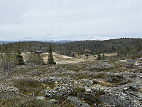 ØyvindBergkvam_20250919_68cd65d091374.jpg