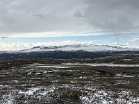 ØyvindBergkvam_20250919_68cd69553ca4e.jpg