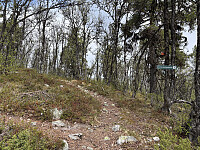 ØyvindBergkvam_20250920_68ce532d249c3.jpg