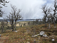 ØyvindBergkvam_20250920_68ce53543edc1.jpg