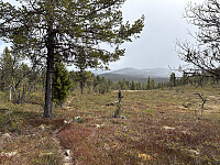 ØyvindBergkvam_20250920_68ce53638441d.jpg